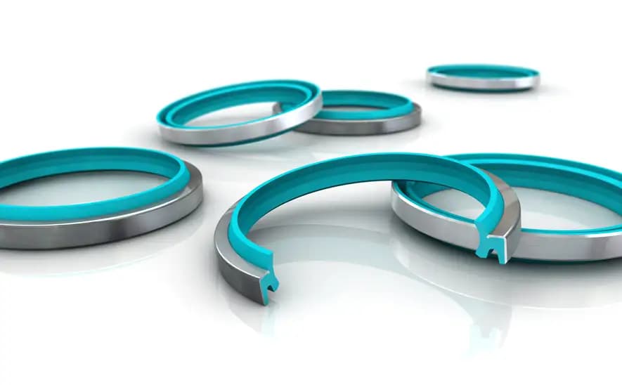 A set of industrial sealing rings.